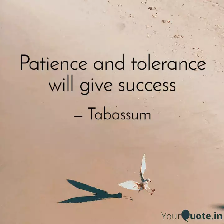 Detail Patience And Tolerance Quotes Nomer 54