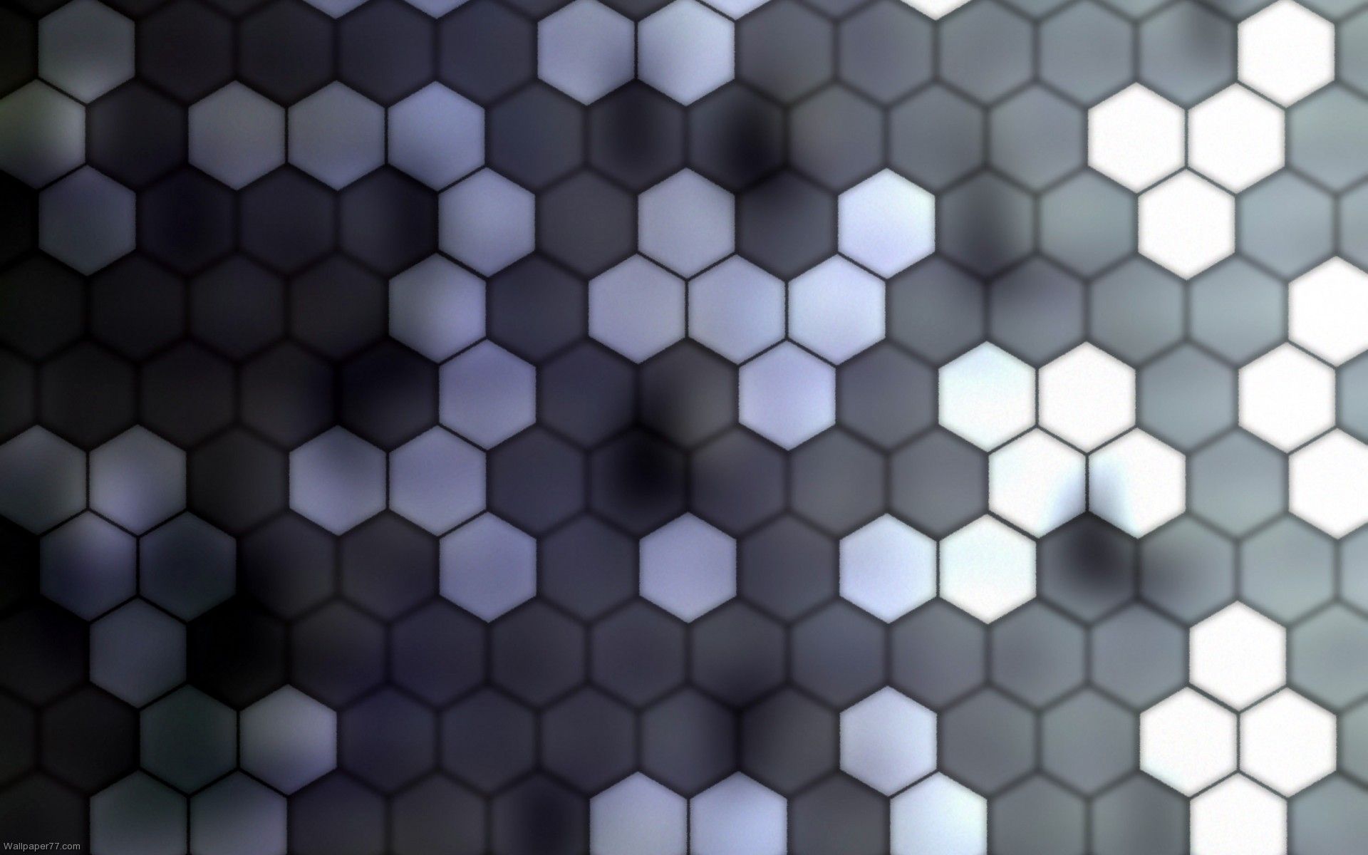 Detail Pattern Cool Nomer 31