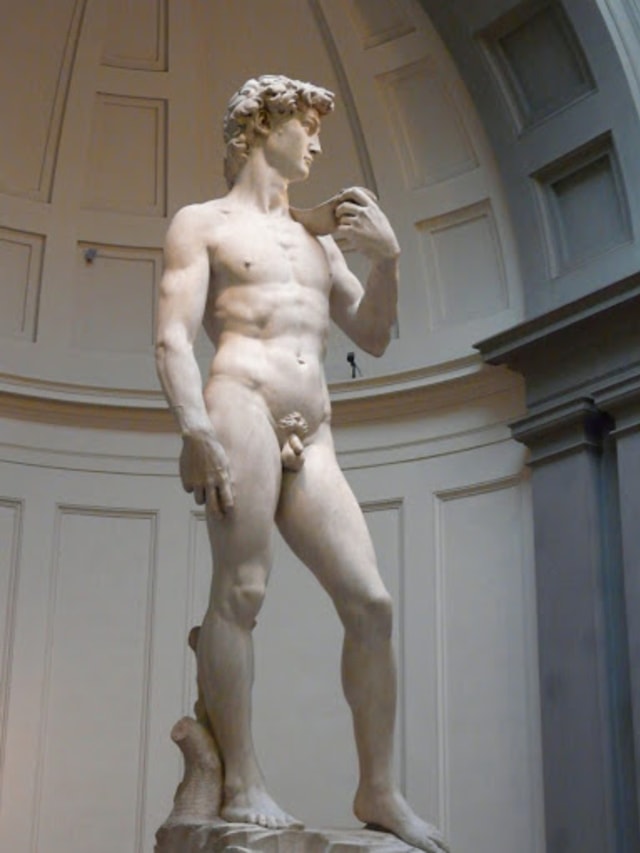 Detail Patung David Karya Michelangelo Nomer 27