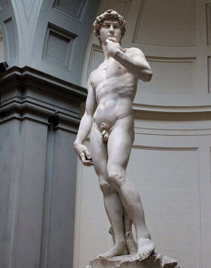 Detail Patung David Karya Michelangelo Nomer 5