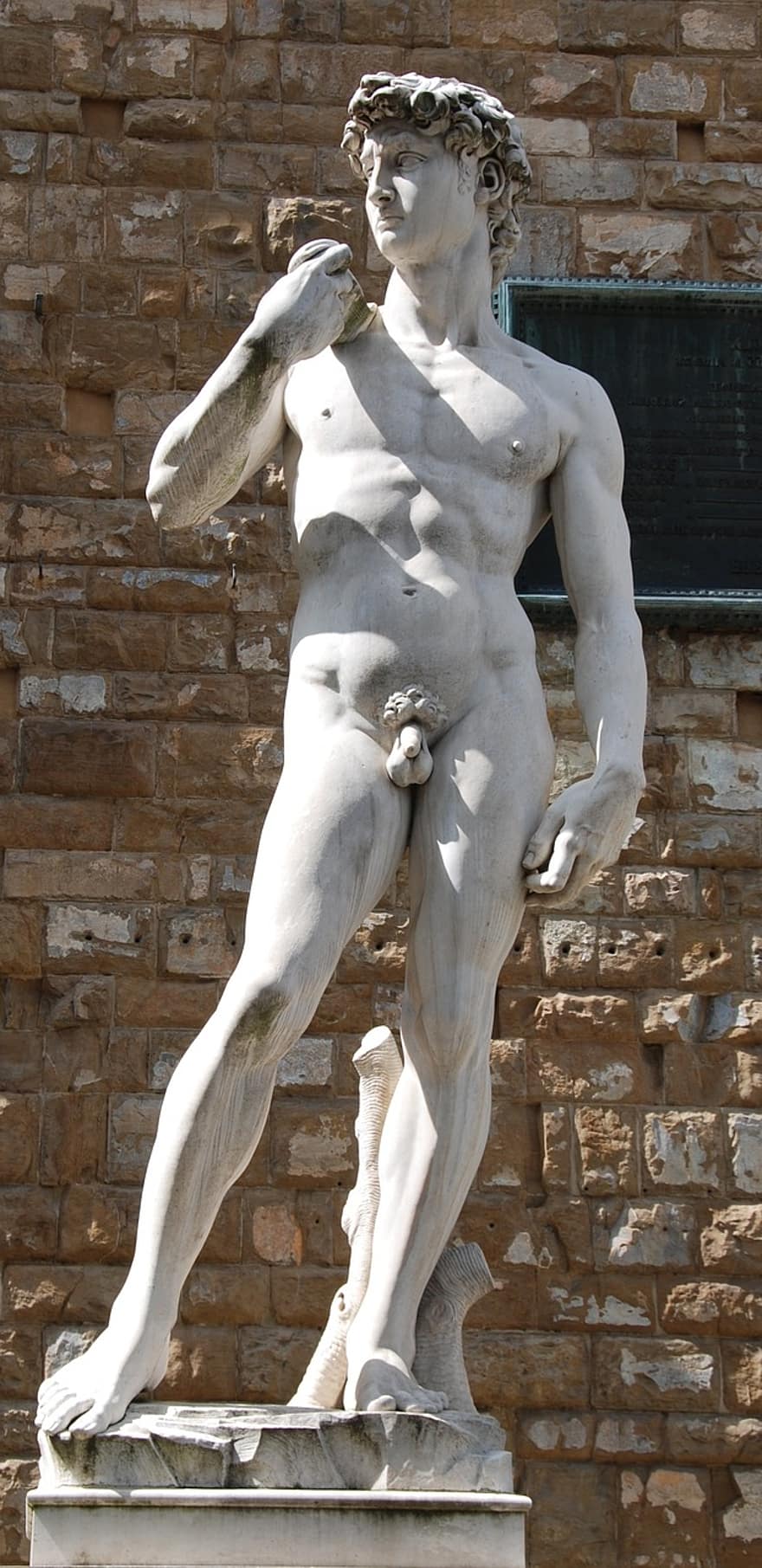 Detail Patung David Karya Michelangelo Nomer 55