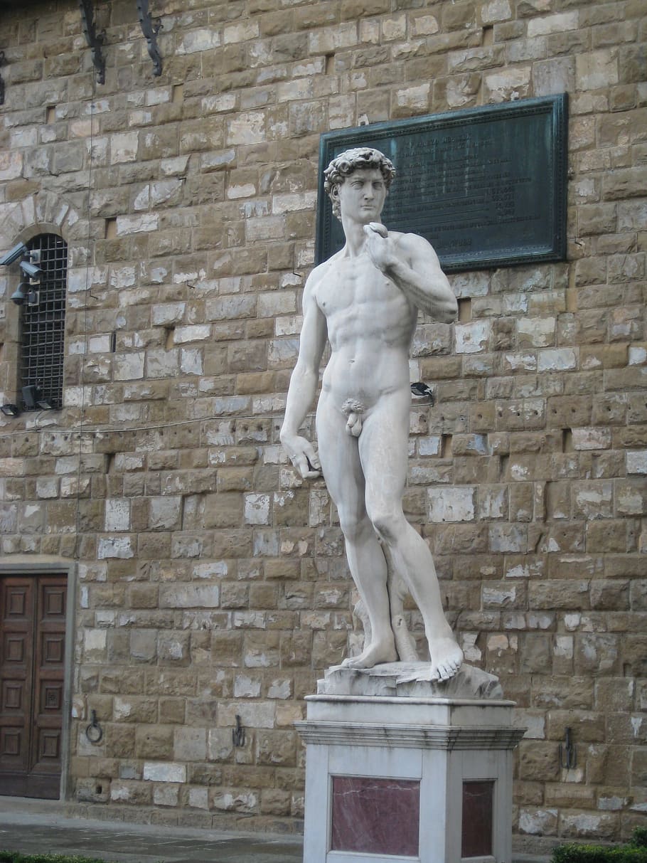 Detail Patung David Michelangelo Nomer 47
