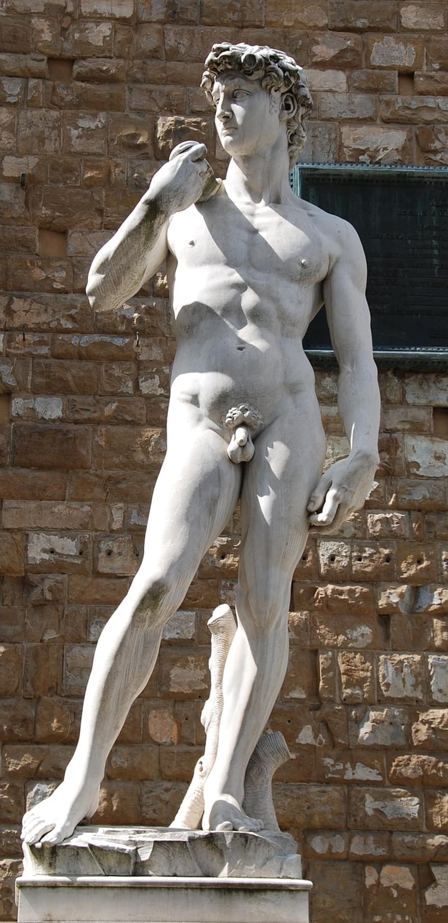 Detail Patung David Michelangelo Nomer 49