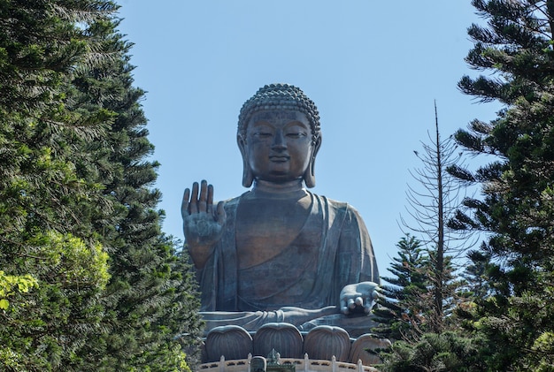 Detail Patung Tian Tan Buddha Nomer 33