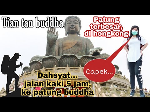 Detail Patung Tian Tan Buddha Nomer 54