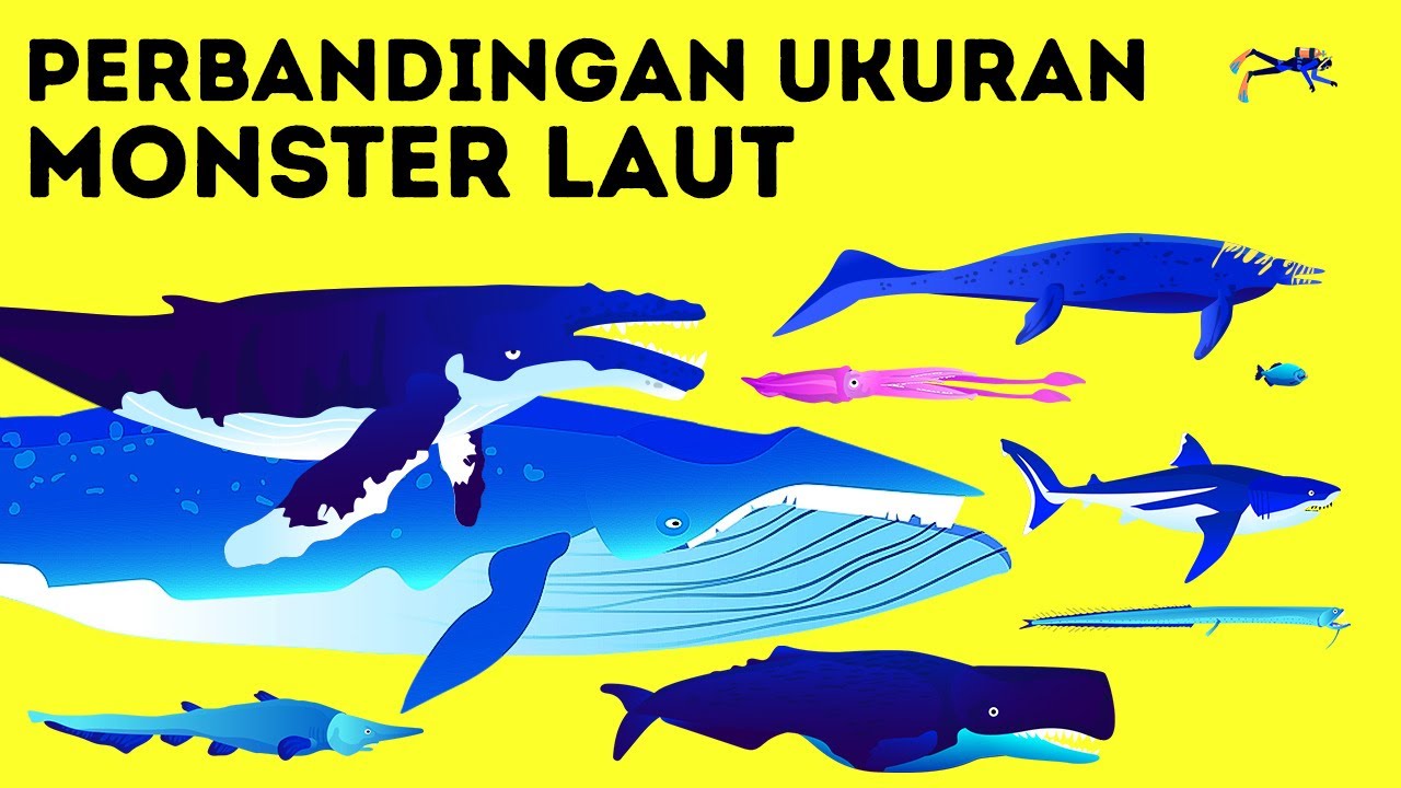 Paus Biru Vs Megalodon - KibrisPDR