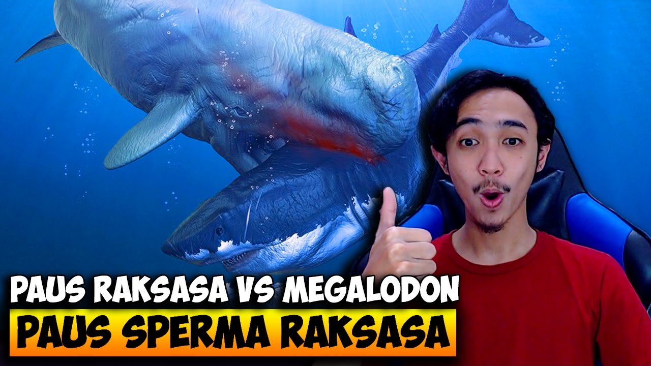 Detail Paus Biru Vs Megalodon Nomer 2