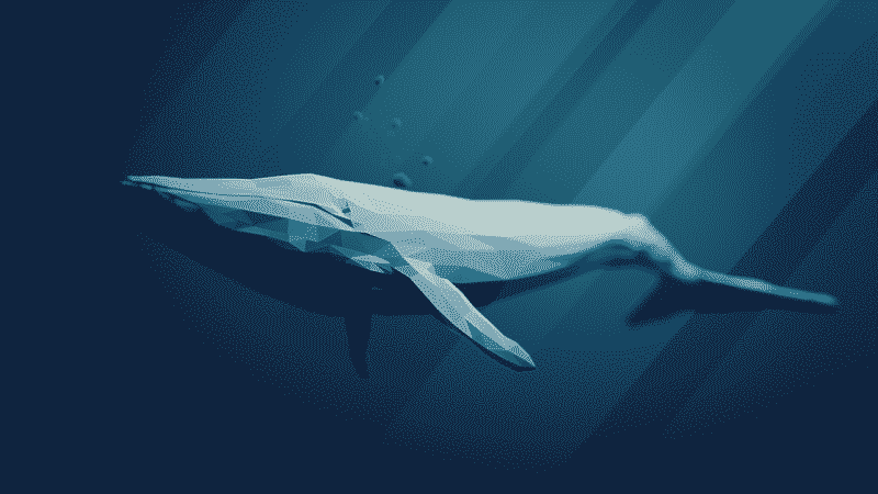 Detail Paus Biru Vs Megalodon Nomer 27