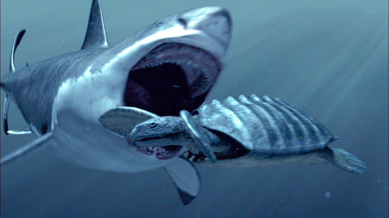 Detail Paus Biru Vs Megalodon Nomer 46