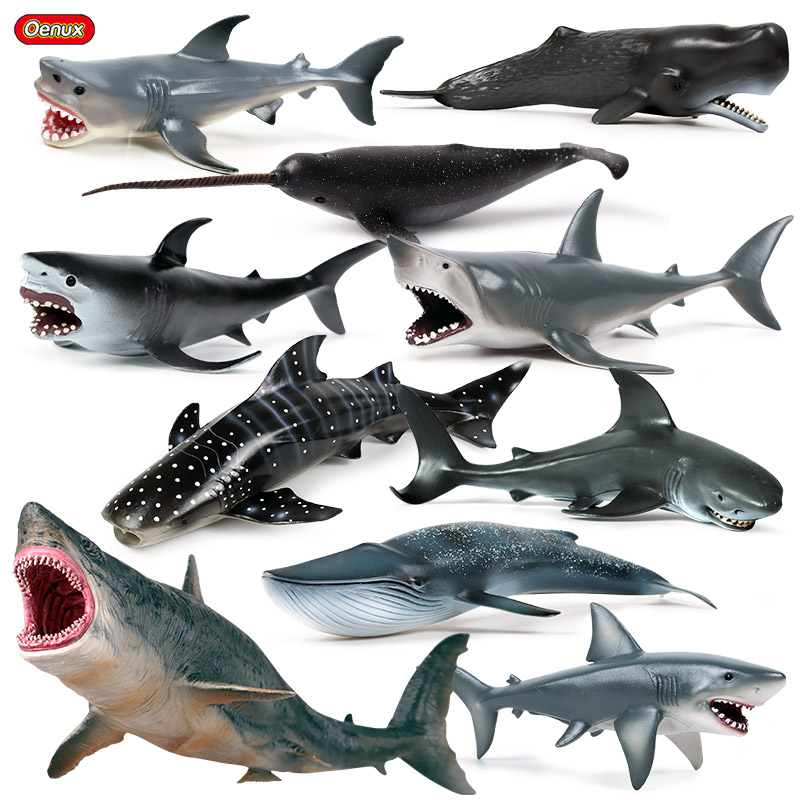 Detail Paus Biru Vs Megalodon Nomer 47