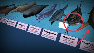 Detail Paus Biru Vs Megalodon Nomer 8