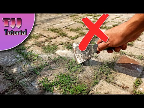 Detail Paving Block Rumput Nomer 46