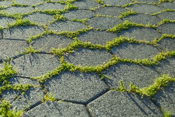 Detail Paving Block Rumput Nomer 6