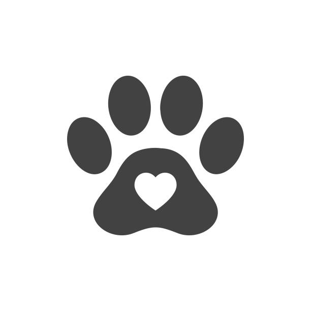 Paw Images - KibrisPDR