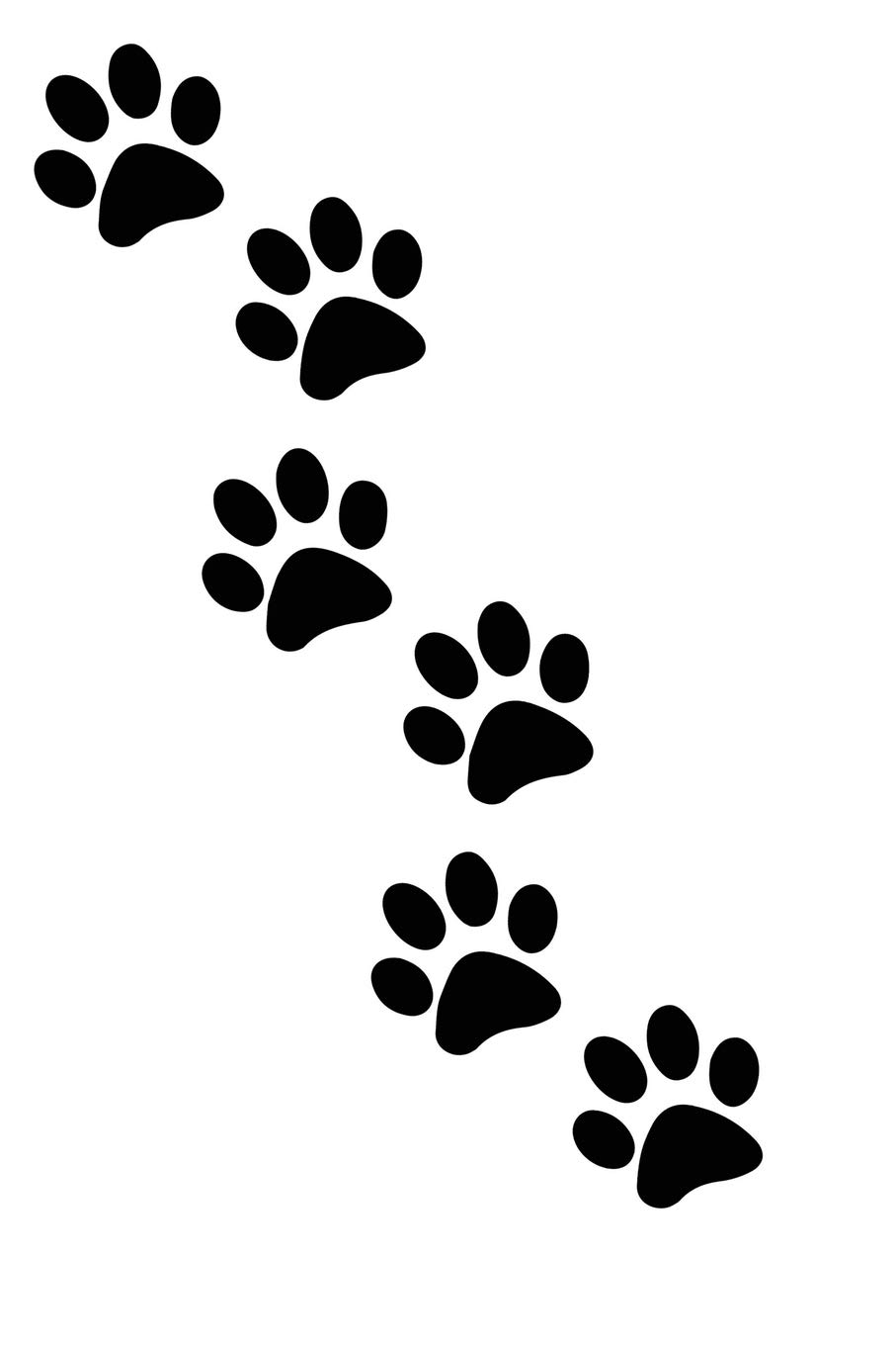 Detail Paw Images Nomer 18