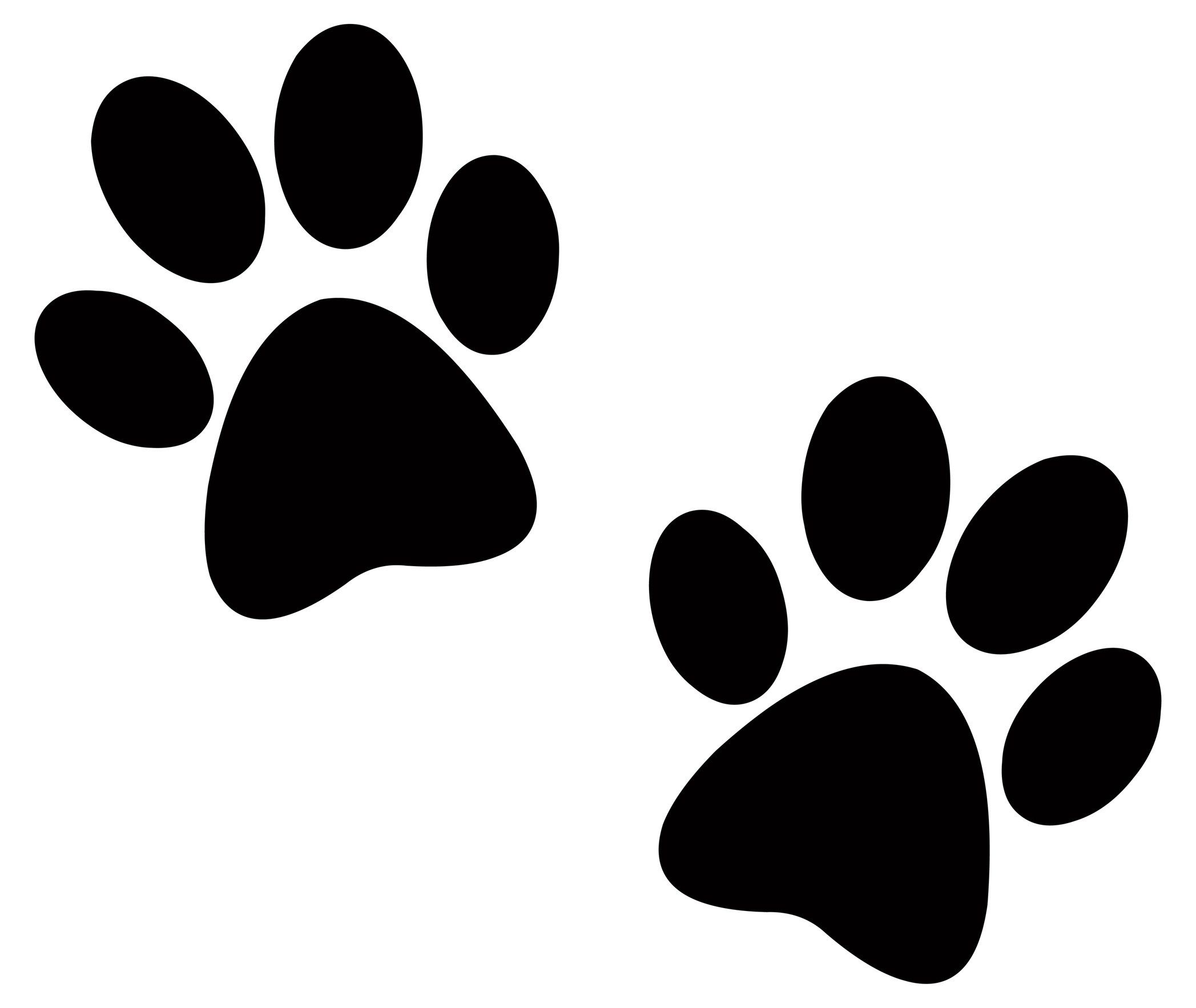 Detail Paw Images Nomer 5