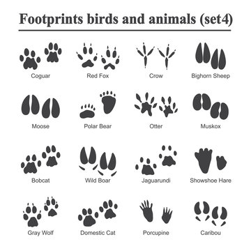 Detail Paw Images Nomer 52