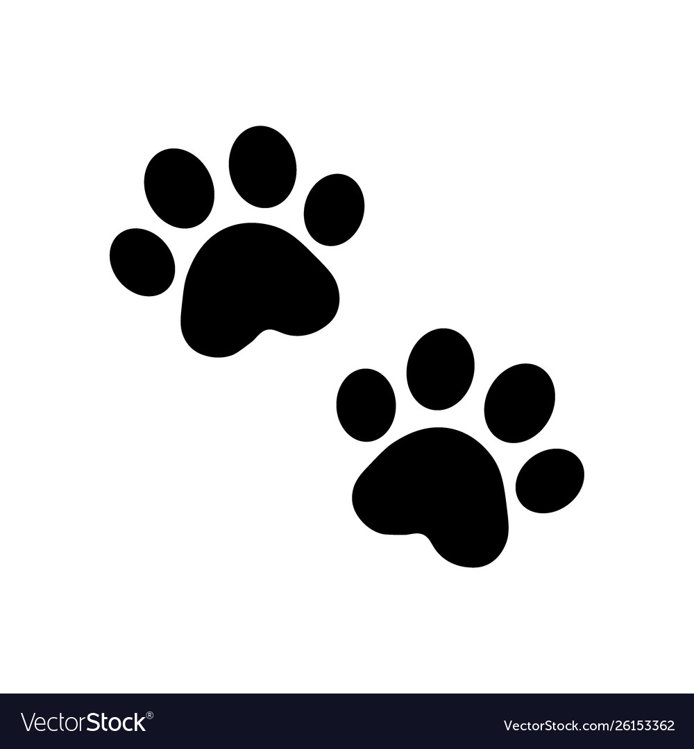 Detail Paw Images Nomer 10