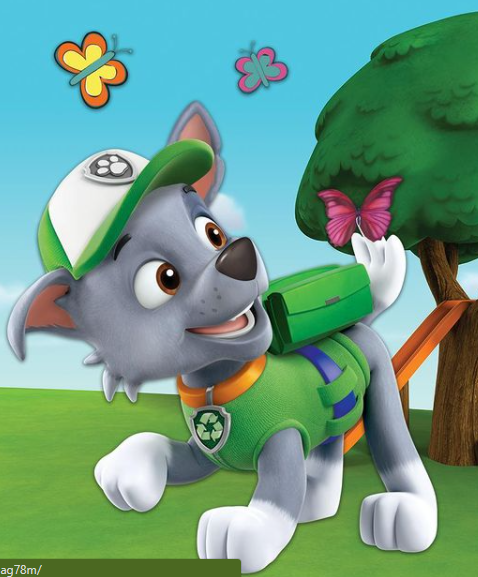 Detail Paw Patrol Rocky Nomer 4