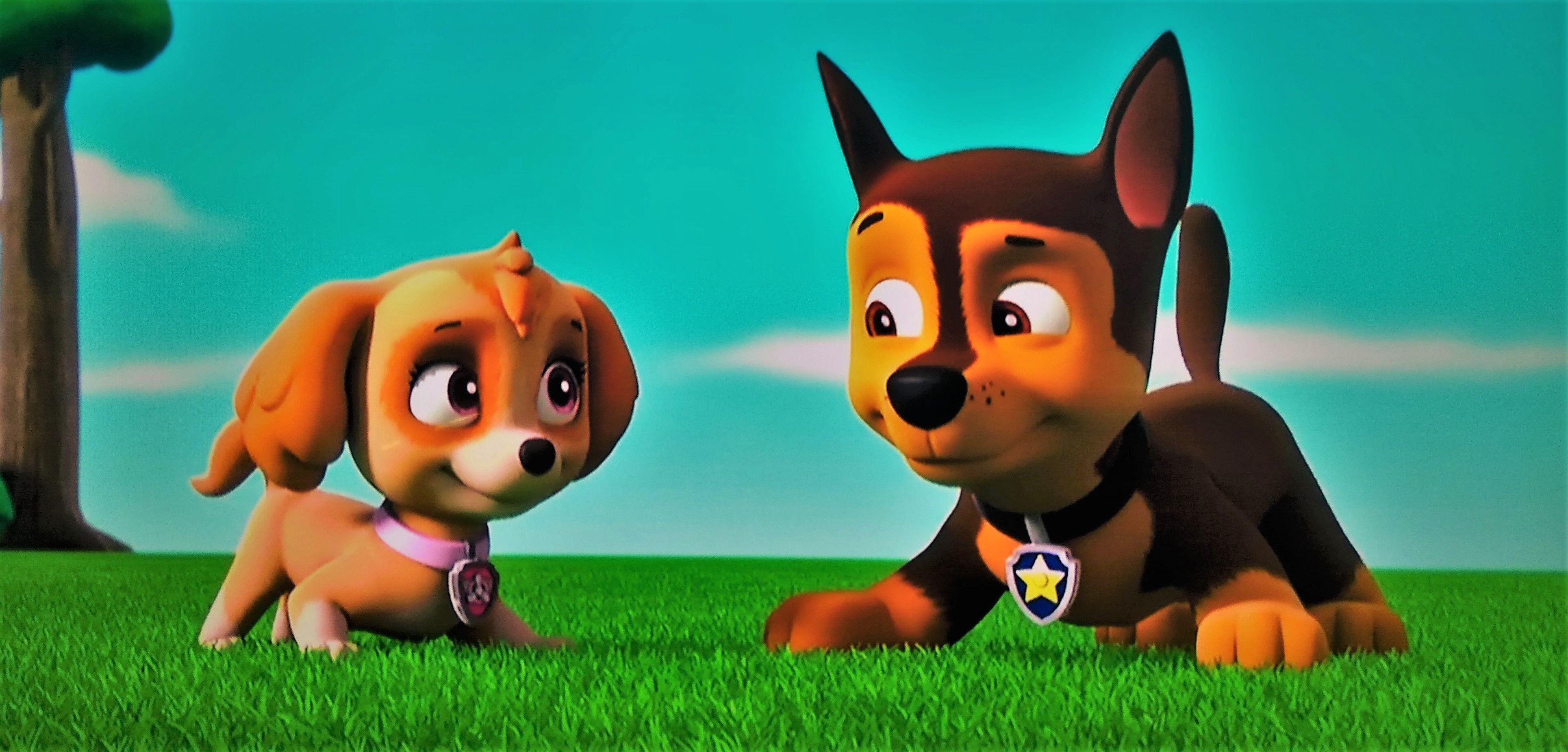 Detail Paw Patrol Skye And Chase Nomer 22