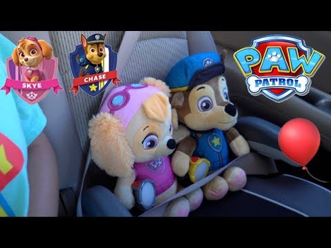 Download Paw Patrol Skye And Chase Nomer 51