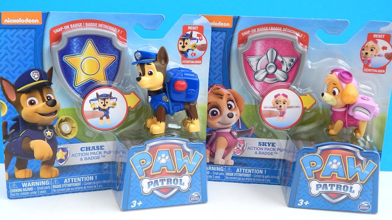 Detail Paw Patrol Skye And Chase Nomer 53