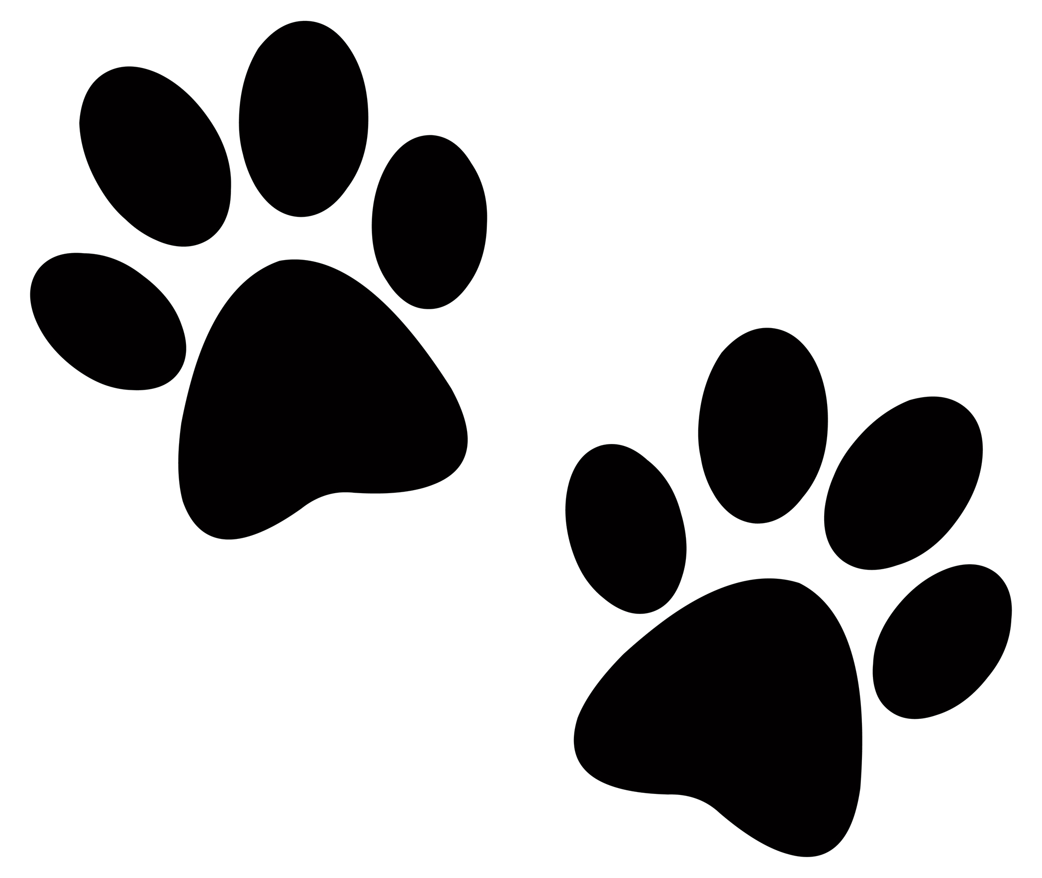 Paw Png - KibrisPDR