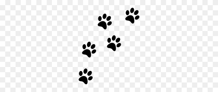 Detail Paw Png Nomer 33