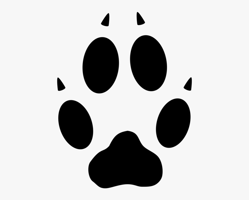 Detail Paw Png Transparent Nomer 53