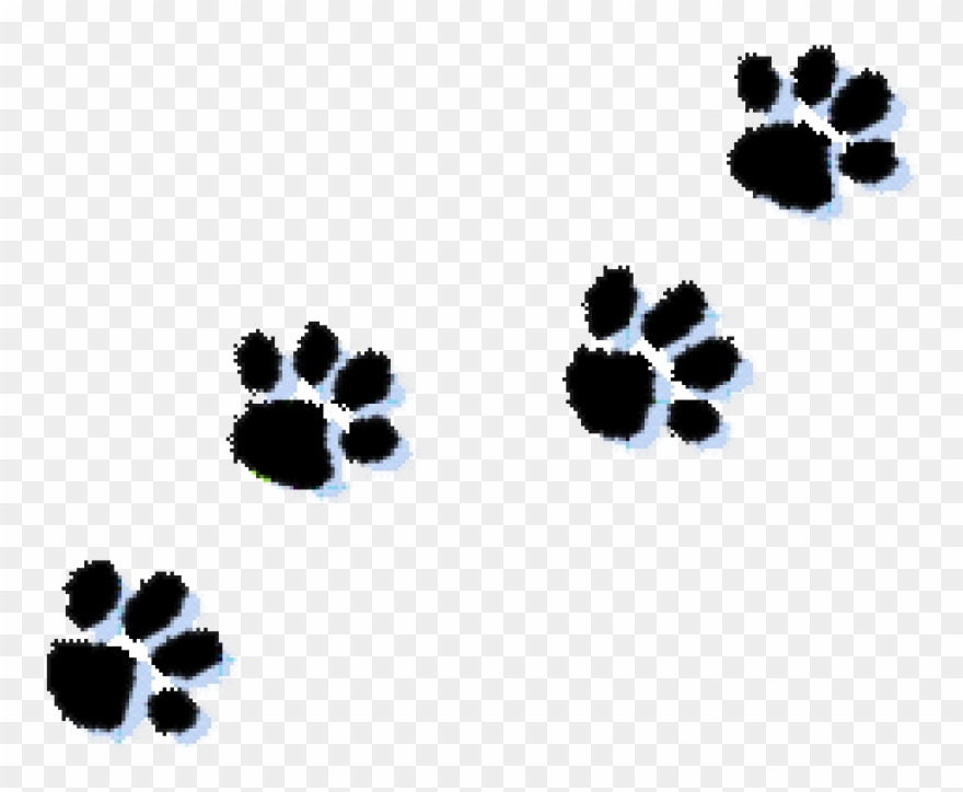 Detail Paw Print Clip Art Transparent Background Nomer 8