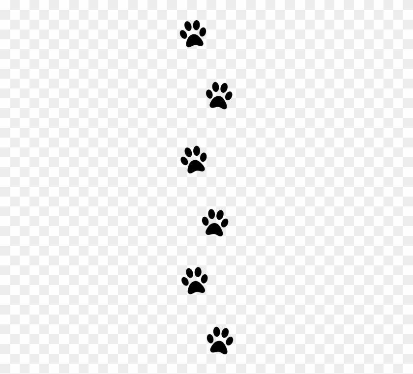 Detail Paw Print Clip Art Transparent Background Nomer 22