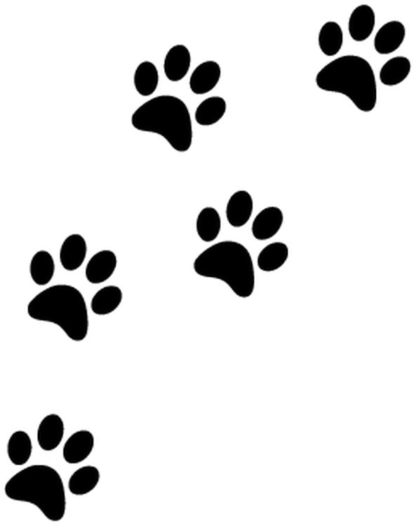 Detail Paw Print Clip Art Transparent Background Nomer 28