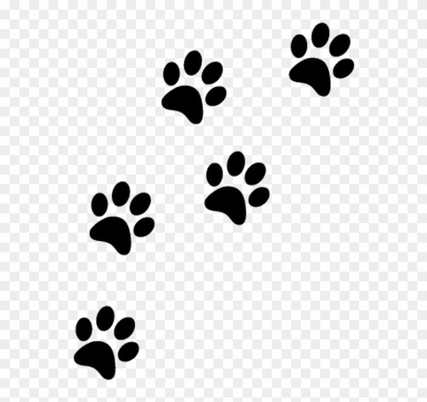 Detail Paw Print Clip Art Transparent Background Nomer 2