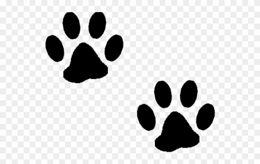 Detail Paw Print Clip Art Transparent Background Nomer 3