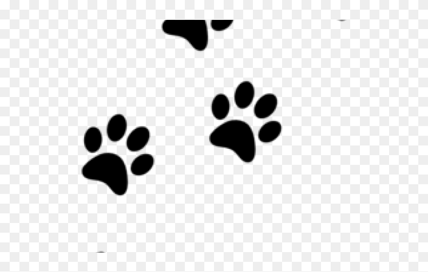 Detail Paw Print Clip Art Transparent Background Nomer 38