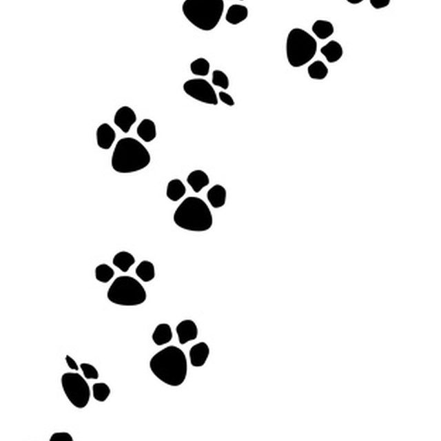 Paw Print Keyboard Symbol - KibrisPDR