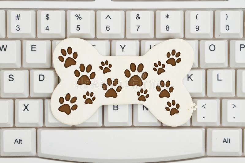 Detail paw print keyboard symbol koleksi nomer 8