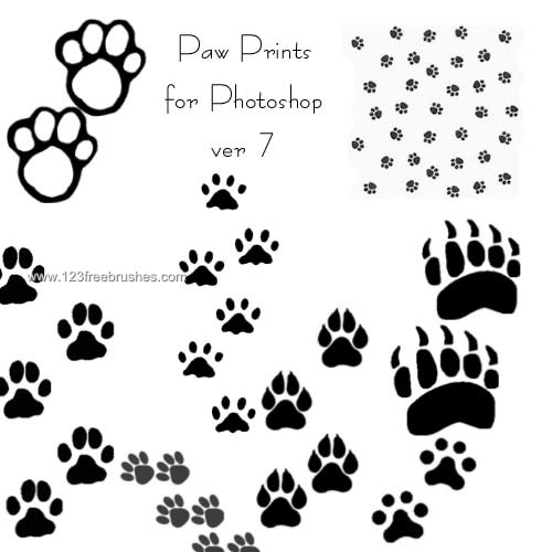 Paw Print Photoshop Brush - KibrisPDR