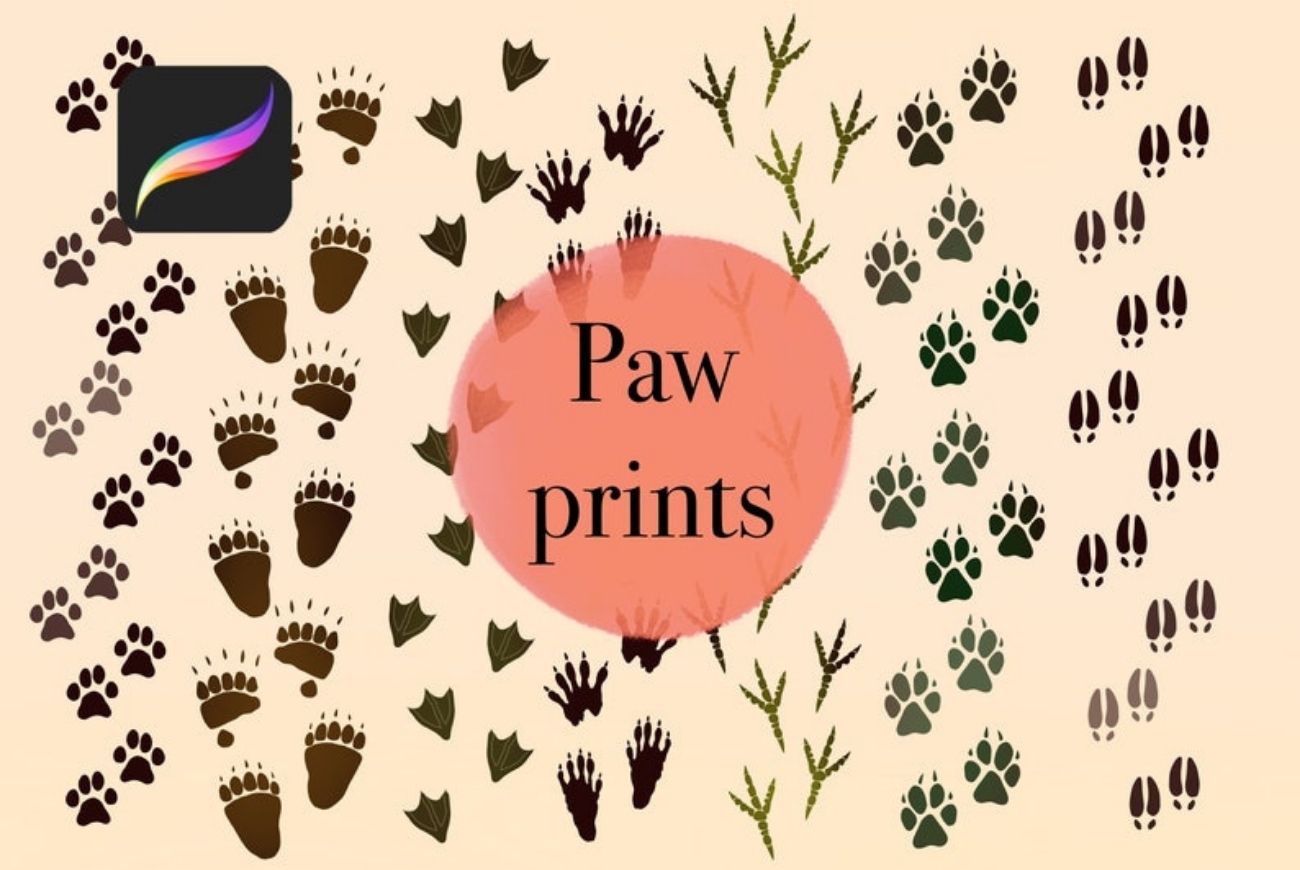 Detail Paw Print Photoshop Brush Nomer 39