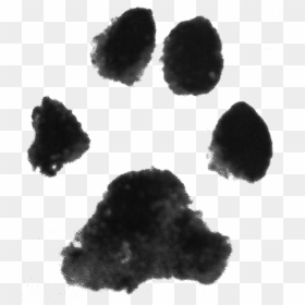 Detail Paw Print Png Nomer 31