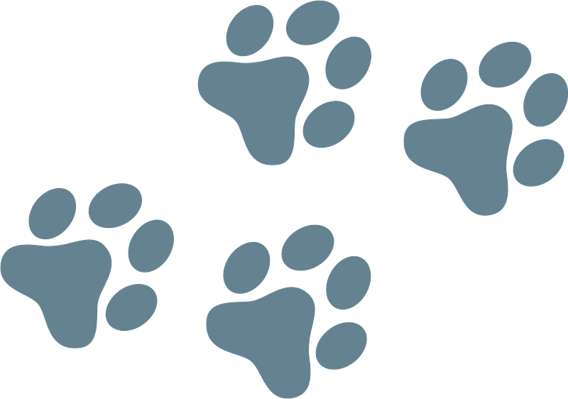 Detail Paw Print Png Nomer 38