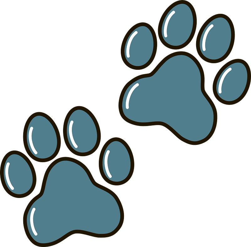 Detail Paw Print Png Nomer 41