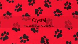 Detail Paw Print Powerpoint Template Nomer 12