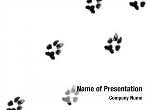 Detail Paw Print Powerpoint Template Nomer 14