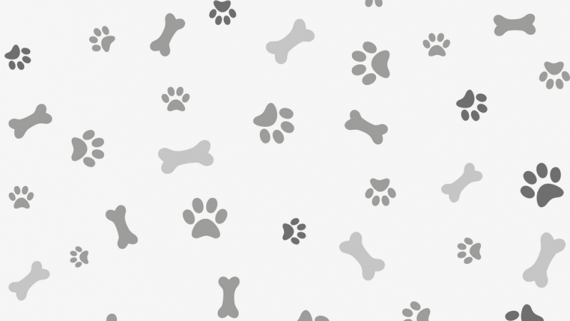 Detail Paw Print Powerpoint Template Nomer 25