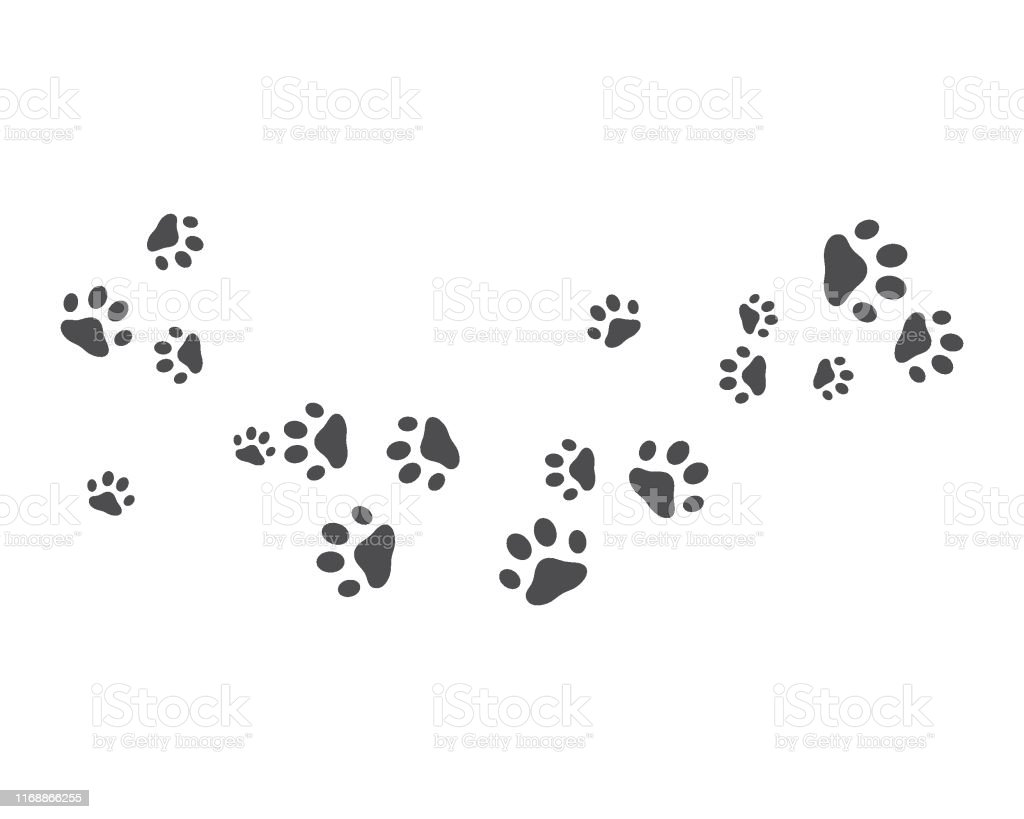 Detail Paw Print Powerpoint Template Nomer 34