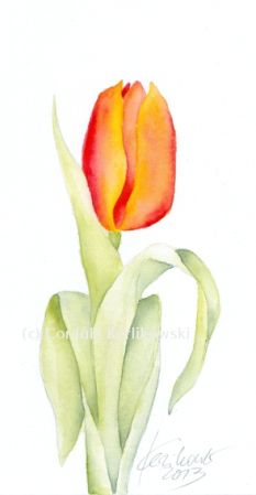 Detail Aquarell Tulpen Nomer 28