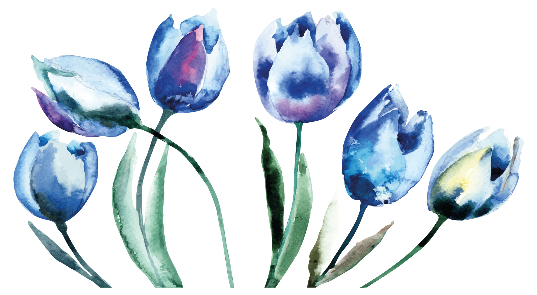 Detail Aquarell Tulpen Nomer 6