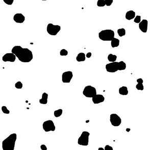 Detail Dalmatiner Terrier Nomer 10