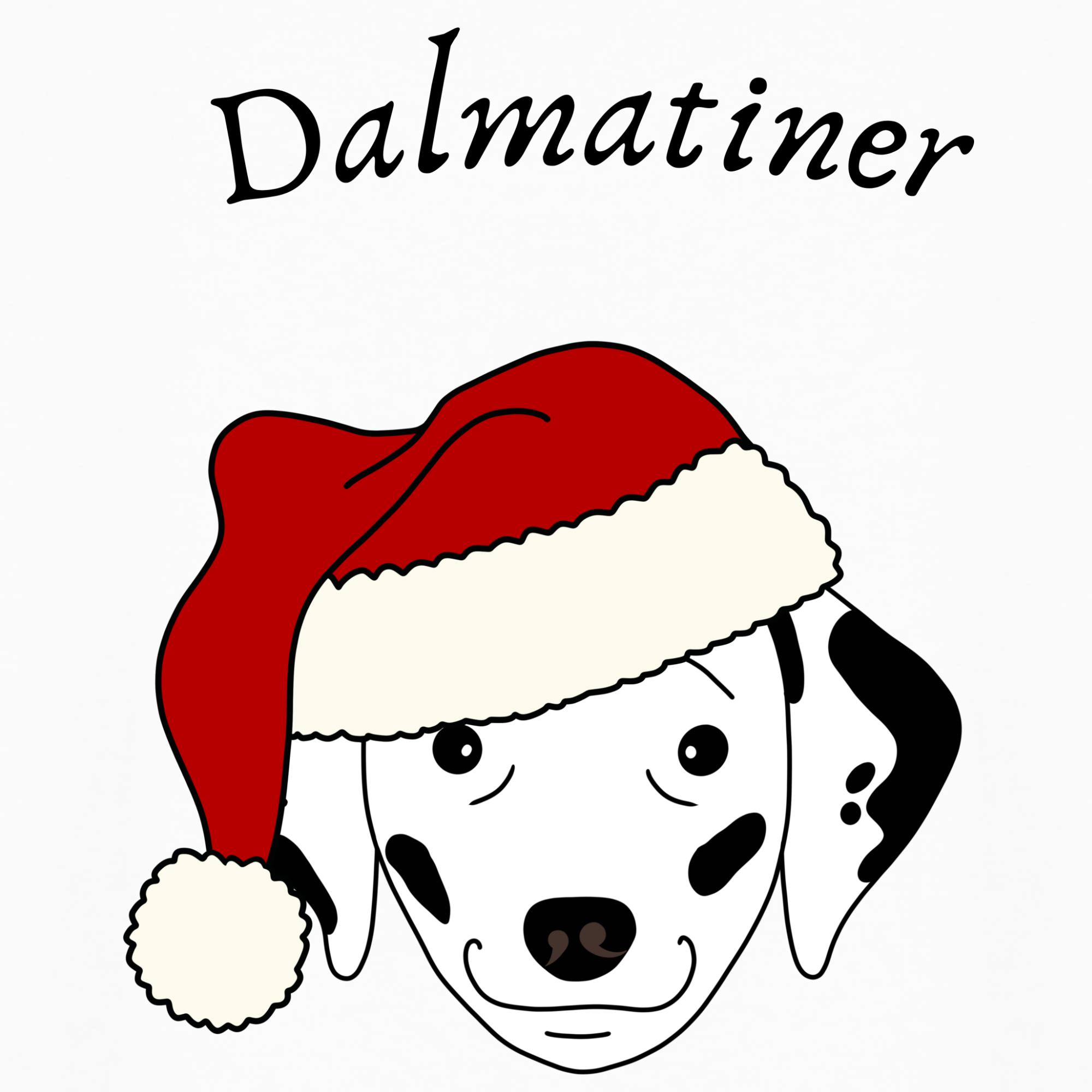 Detail Dalmatiner Terrier Nomer 8